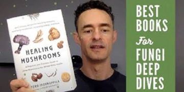 Healing mushrooms, the medical properties of which are proven by science
