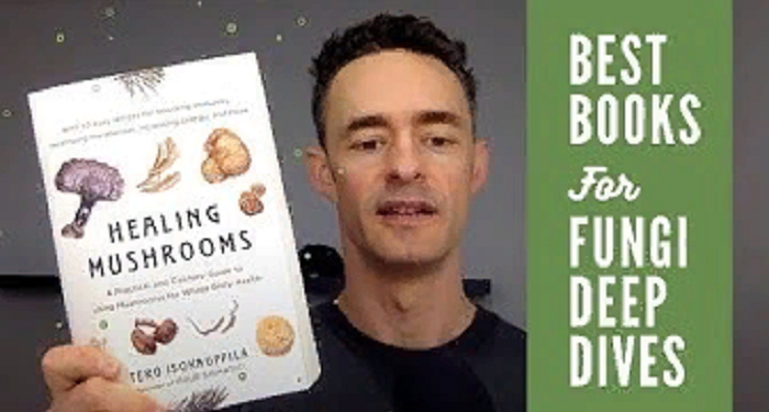 Healing mushrooms, the medical properties of which are proven by science